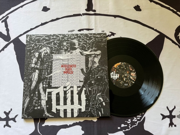 [订购] AntiHuman Industries – Accelerated Death Impulse, LP (黑色) [预付款1|199]