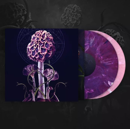 [订购] Blut Aus Nord – Hallucinogen, 2xLP (紫粉) [预付款1|259]