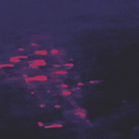 Sadness – Motionless, watching you, CD Sadness – Motionless, watching you, CD