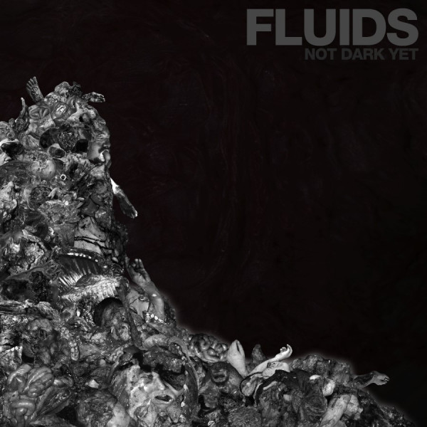Fluids – Not Dark Yet, LP (黑色烟雾)