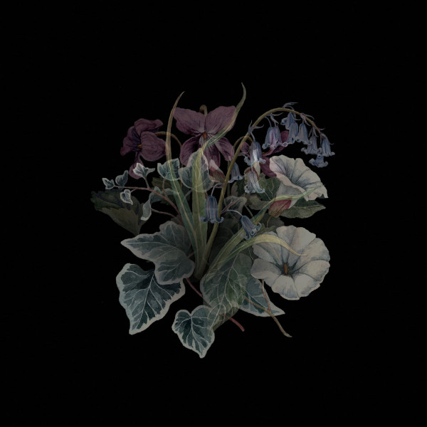 [订购] Nhor ‎– Wildflowers, 2xLP (黑色) [预付款1|239]