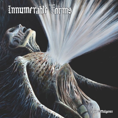 [订购] Innumerable Forms – Pain Effulgence, LP (黑色) [预付款1|199]