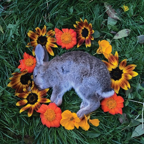 [订购] Monolord – Your Time To Shine, CD [预付款1|99]