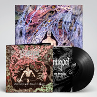 Demigod – Slumber of Sullen Eyes, LP (黑色) Demigod – Slumber of Sullen Eyes, LP (黑色)