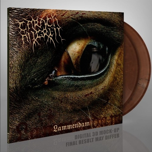 [订购] Carach Angren – Lammendam, 2xLP (橙黑理石) [预付款1|279]