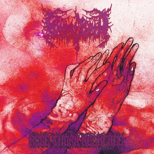 [订购] Ghost Bath ‎– Rose Thorn Necklace, CD [预付款1|129]